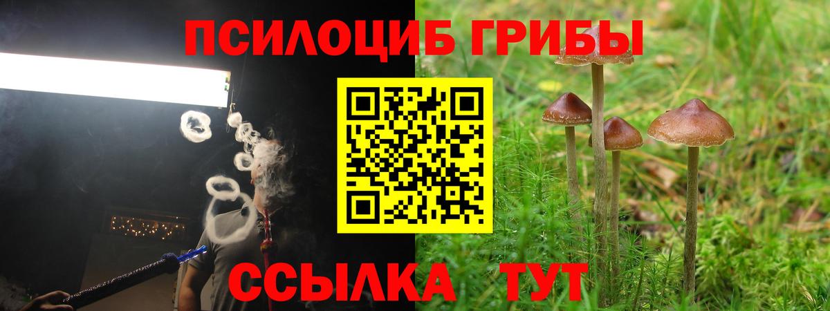 Псилоцибиновые грибы Magic Shrooms Малоярославец
