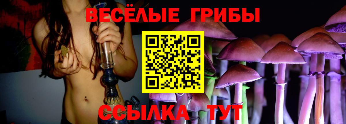 Малоярославец  Псилоцибиновые грибы мицелий  Галлюциногенные грибы MAGIC MUSHROOMS  Вход с VPN 